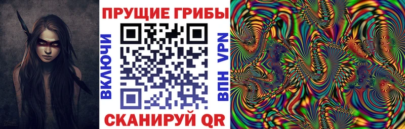 Псилоцибиновые грибы MAGIC MUSHROOMS  сколько стоит  Кольчугино 