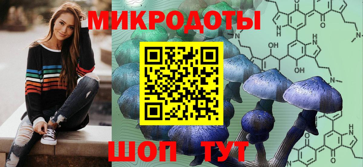 Кольчугино  Галлюциногенные грибы Cubensis  Вход с VPN  Галлюциногенные грибы Cubensis 