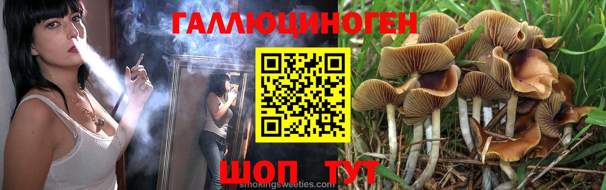 Галлюциногенные грибы мицелий Кольчугино